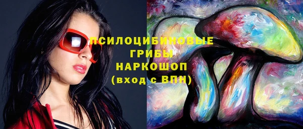 крисы Абдулино