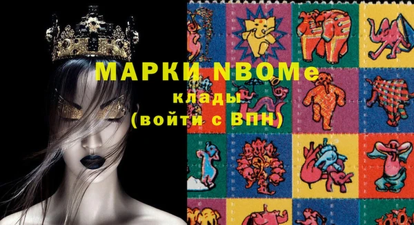 прущие грибы Абинск