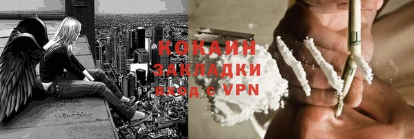 ПСИЛОЦИБИНОВЫЕ ГРИБЫ Новозыбков