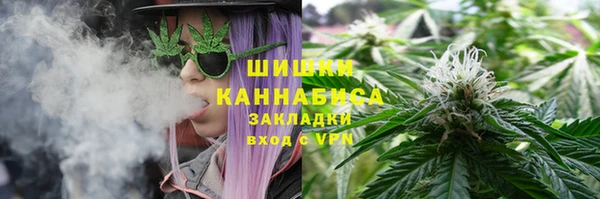 ПСИЛОЦИБИНОВЫЕ ГРИБЫ Новозыбков