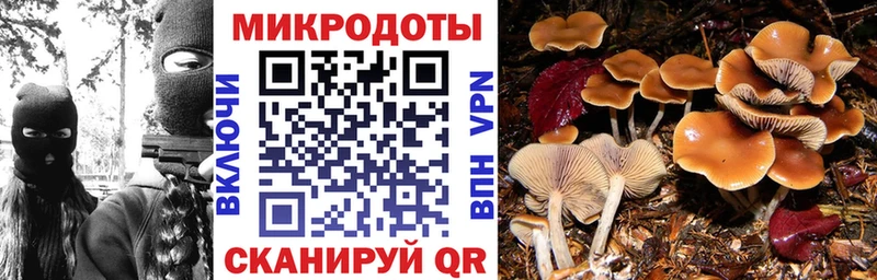 Галлюциногенные грибы Cubensis  даркнет сайт  Ряжск 