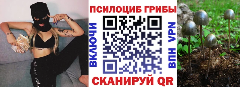 Псилоцибиновые грибы GOLDEN TEACHER Ряжск